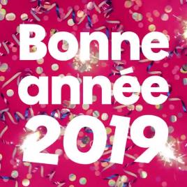 Bonne année 2019 à toutes et à tous ! 